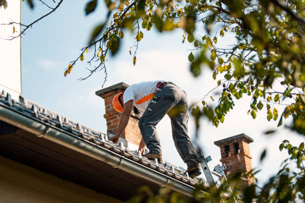 Best Roof Leak Repair  in Memphis, TX