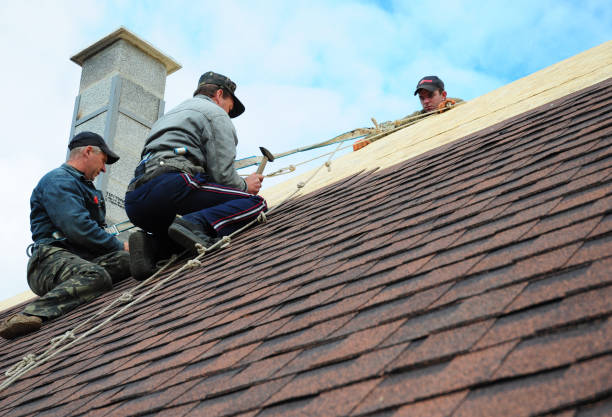 Best Metal Roofing Contractor  in Memphis, TX