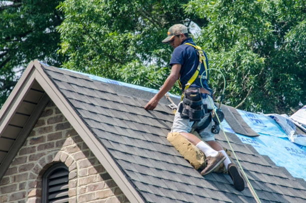 Best Shingle Roofing Installation  in Memphis, TX